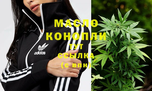прущие грибы Краснотурьинск