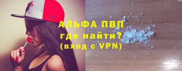 прущие грибы Краснотурьинск