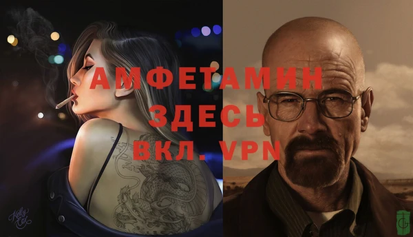 прущие грибы Краснотурьинск