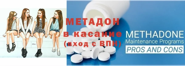прущие грибы Краснотурьинск