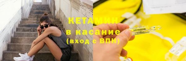 прущие грибы Краснотурьинск