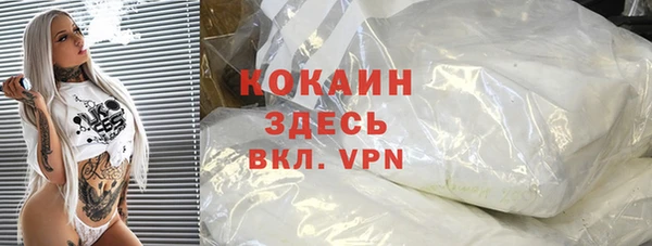 прущие грибы Краснотурьинск