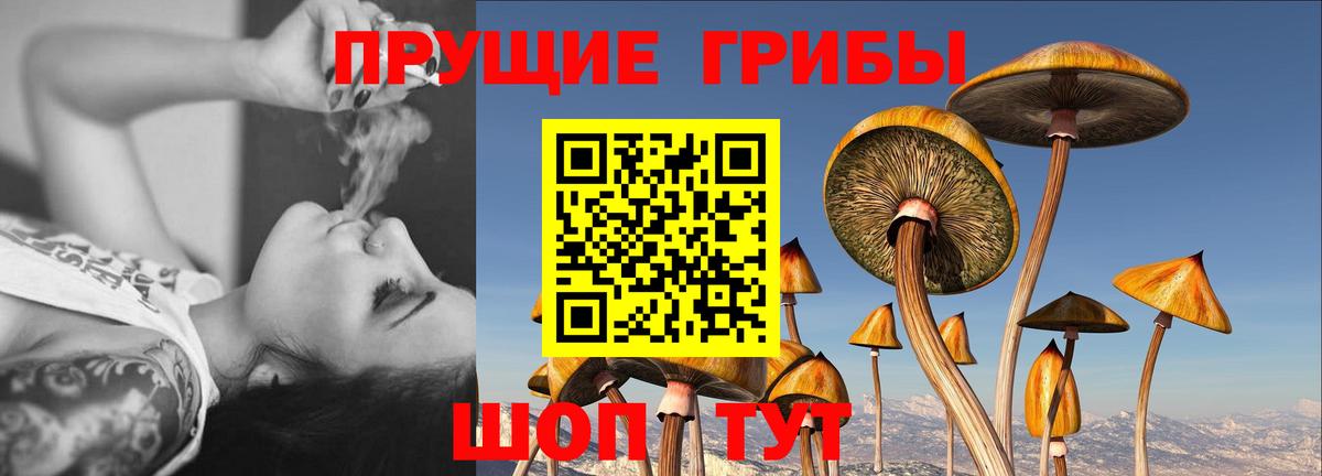 Псилоцибиновые грибы прущие грибы Лобня