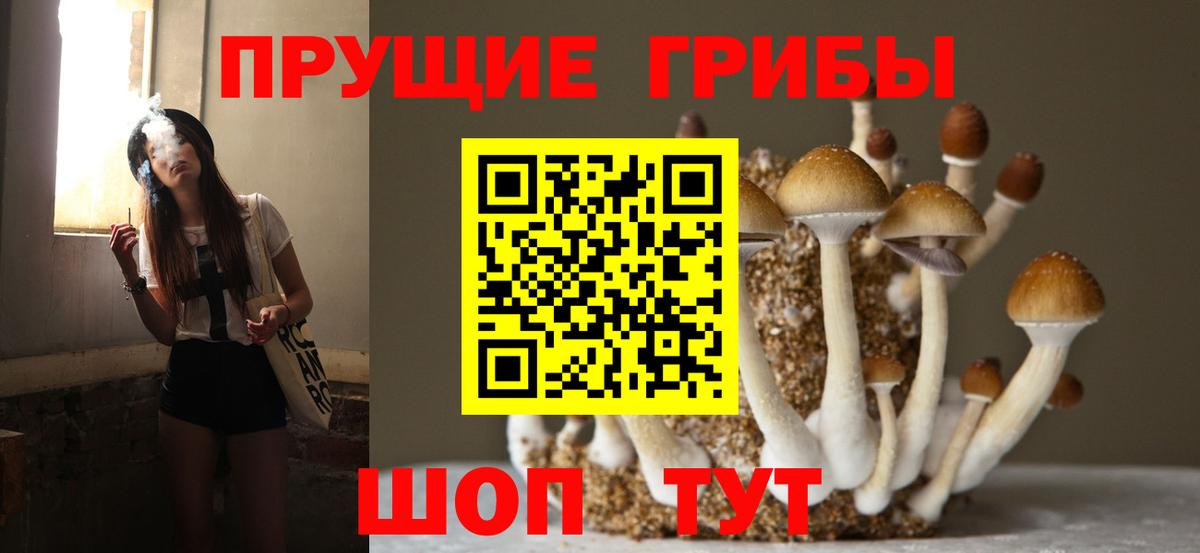Псилоцибиновые грибы Cubensis  Галлюциногенные грибы Psilocybine cubensis  Лобня  Вход с VPN 