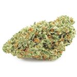 Шишки OG Kush  (Гидропоника, бошки) VHQ в Лобне